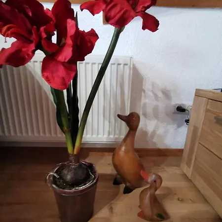 In Wilhelmsfehn Mit Grossem Balkon 公寓 *